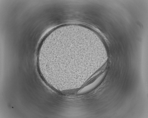 X0000115371416200912151409