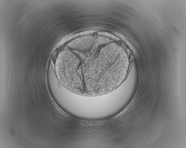 X0000115371417200912151409