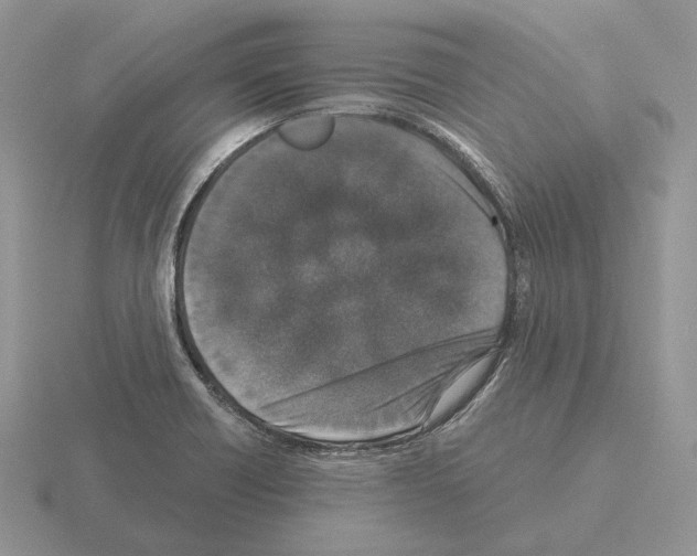 X0000115371418200912151409