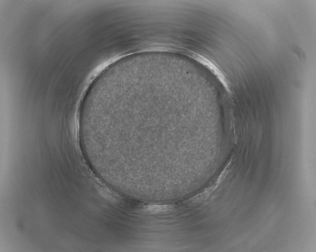 X0000115371419200912151409