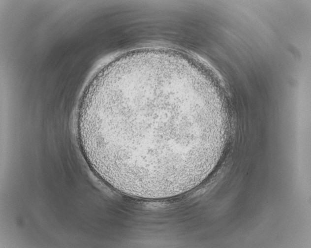 X0000115371421200912151409