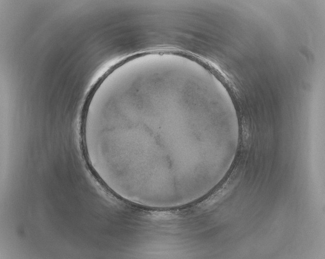 X0000115371422200912151409