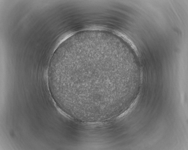 X0000115371425200912151409