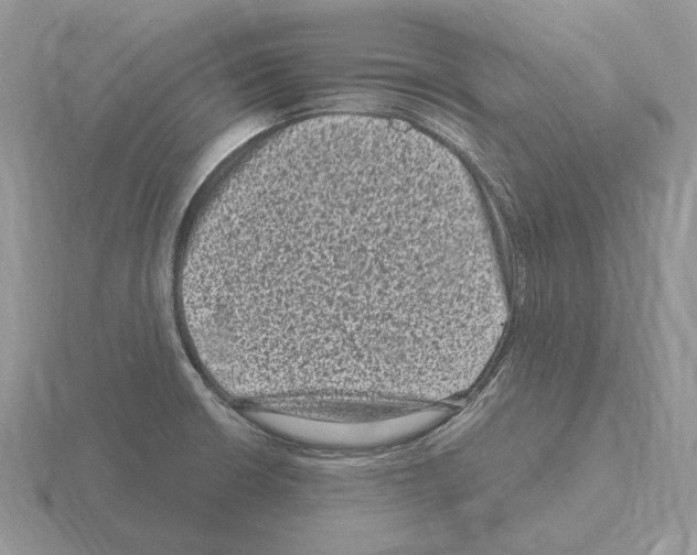 X0000115371426200912151409