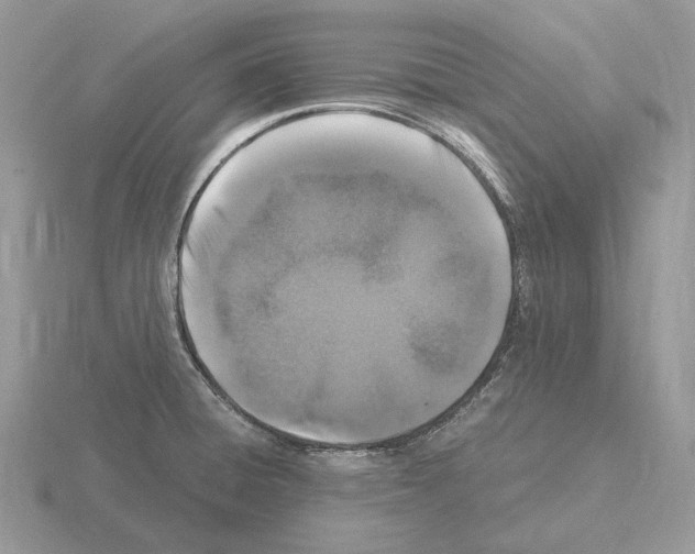 X0000115371428200912151409