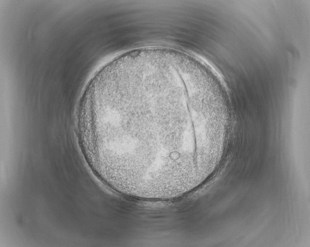 X0000115371429200912151410