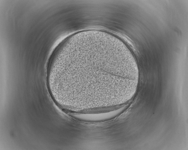 X0000115371430200912151410