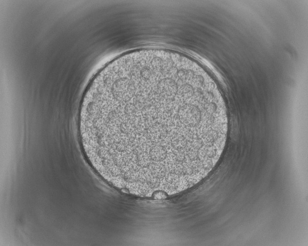 X0000115371432200912151410