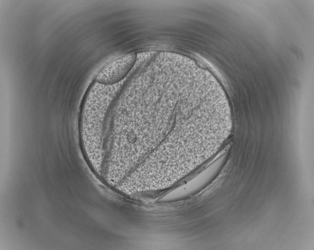 X0000115371434200912151410