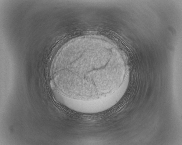 X0000115371441200912151409