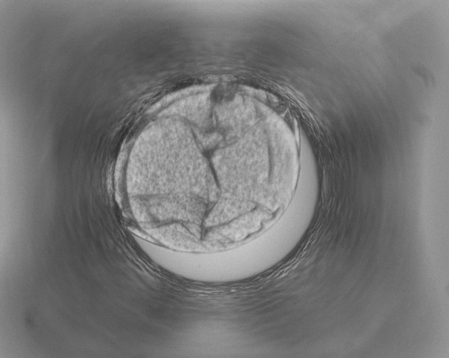 X0000115371444200912151409