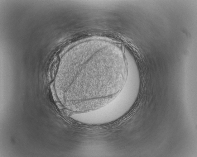 X0000115371445200912151409