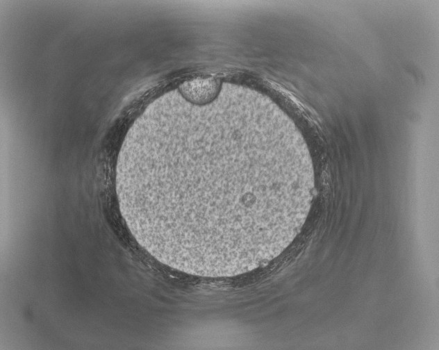 X0000115371447200912151409