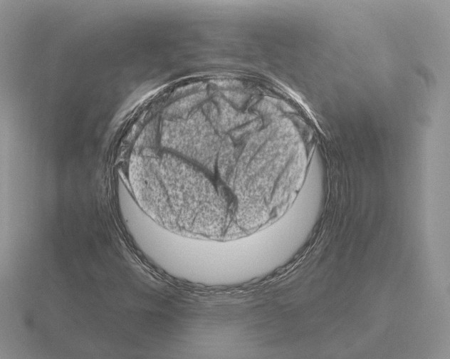 X0000115371448200912151409