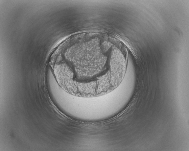 X0000115371452200912151409