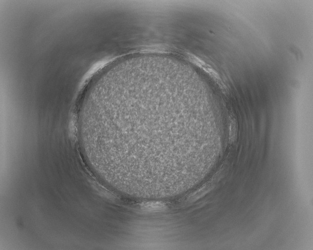 X0000115371454200912151409