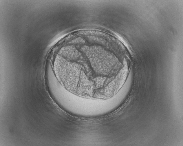 X0000115371456200912151409