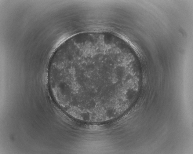 X0000115371459200912151409