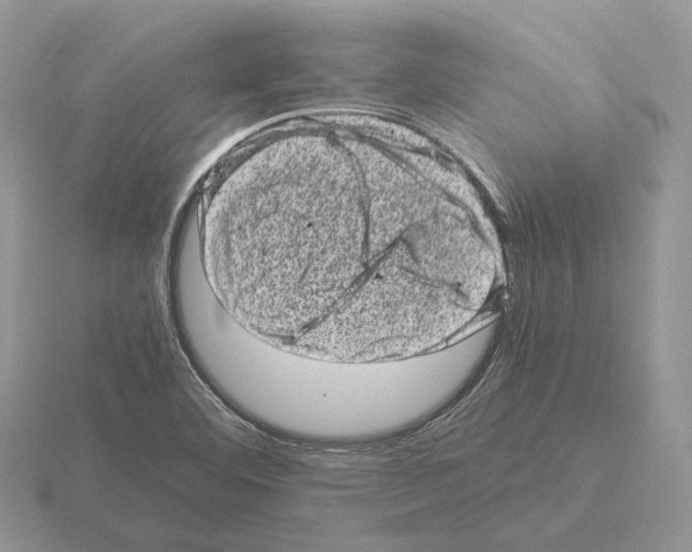 X0000115371460200912151409