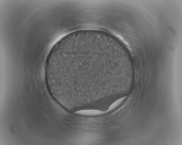 X0000115371463200912151409