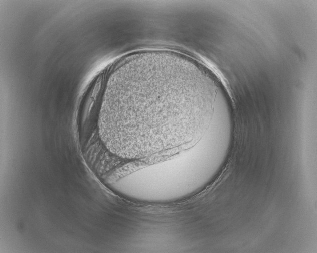 X0000115371464200912151409