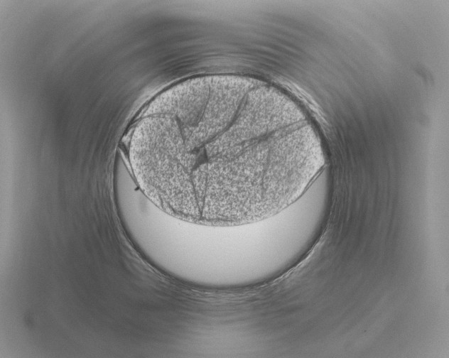 X0000115371465200912151409