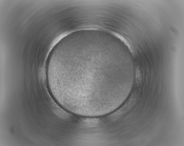 X0000115371466200912151409