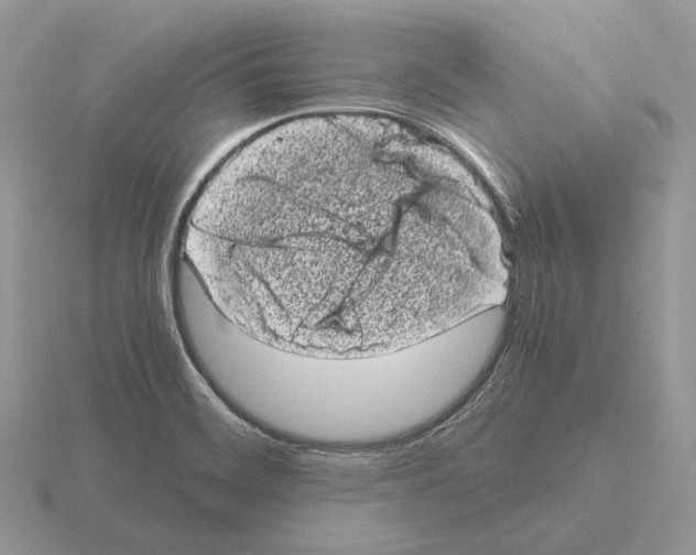 X0000115371468200912151409