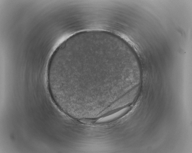 X0000115371469200912151409