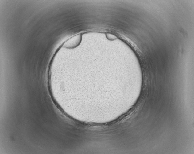 X0000115371471200912151409