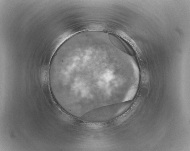 X0000115371473200912151409