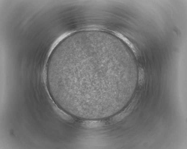 X0000115371474200912151409