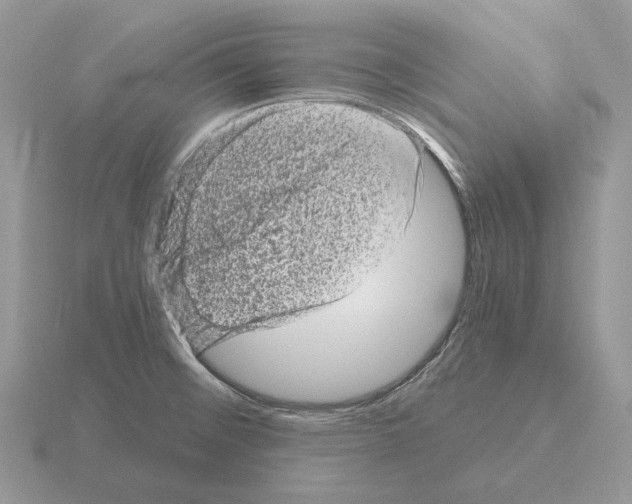 X0000115371476200912151408