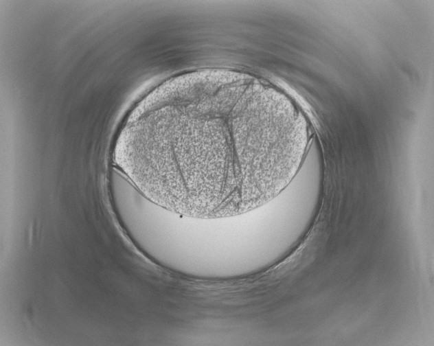 X0000115371477200912151408