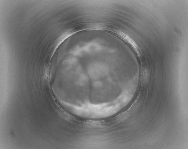 X0000115371481200912151408