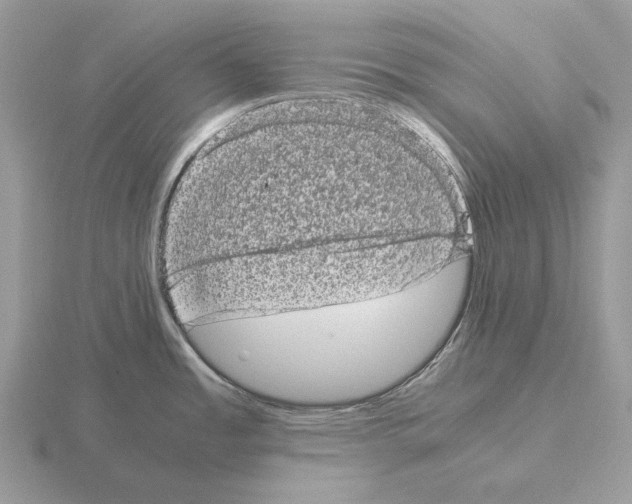 X0000115371485200912151408