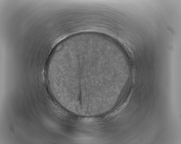 X0000115371497200912151408