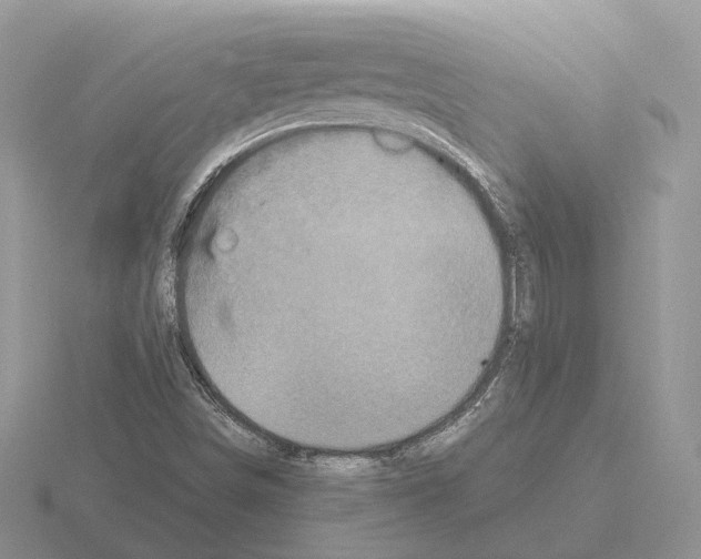 X0000115371498200912151408