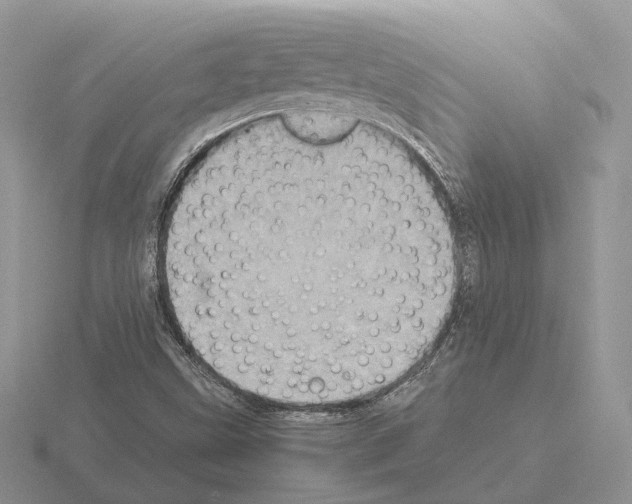 X0000115371499200912151408