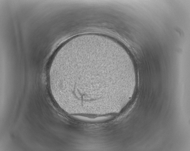 X0000115371501200912151408