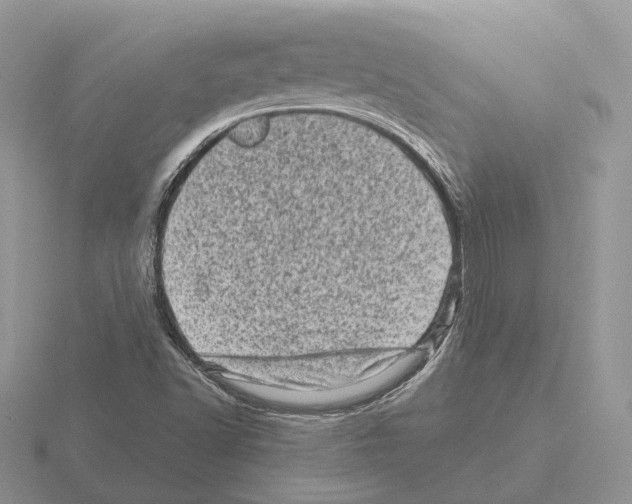 X0000115371502200912151408