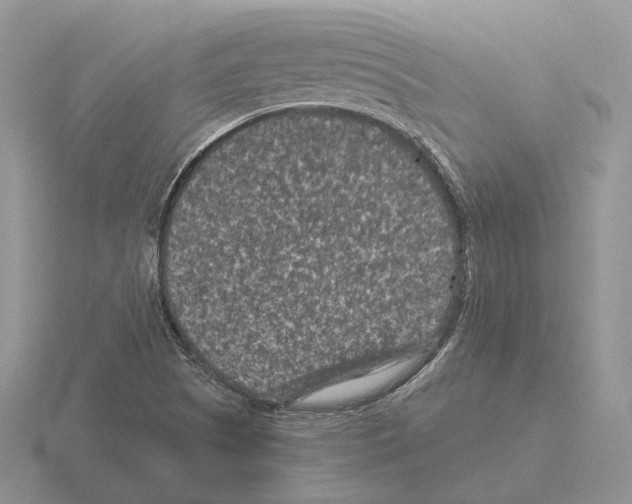 X0000115371505200912151408