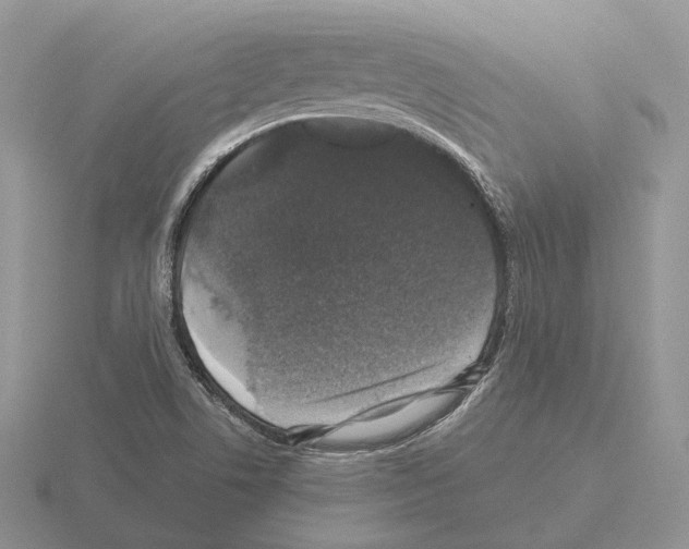 X0000115371506200912151408