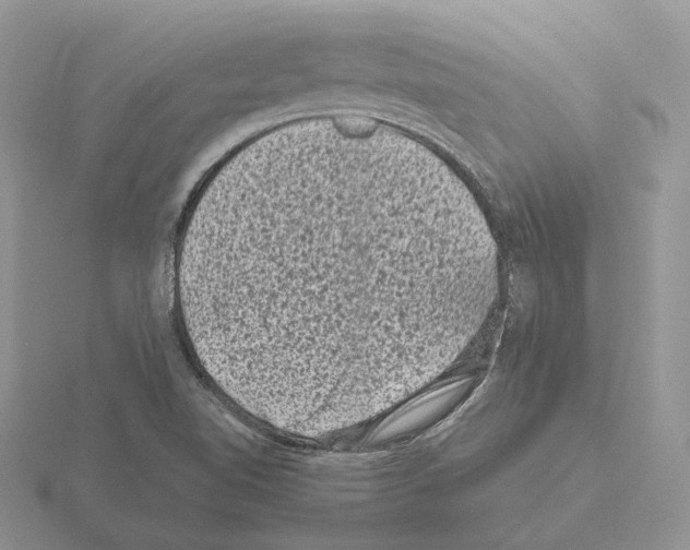 X0000115371510200912151408