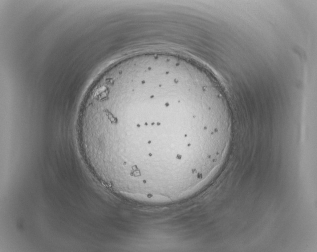 X0000115371514200912151408