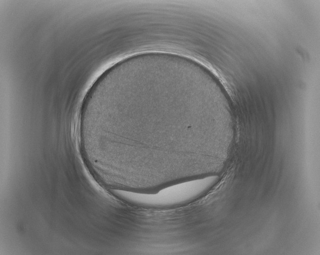 X0000115371515200912151408