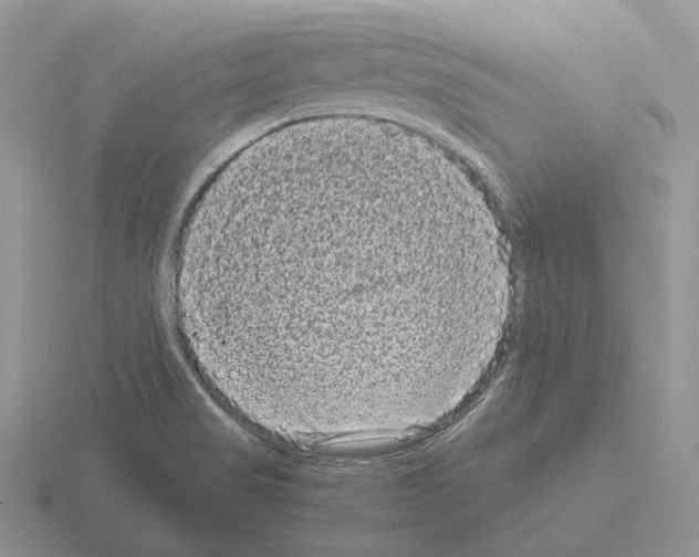 X0000115371517200912151408