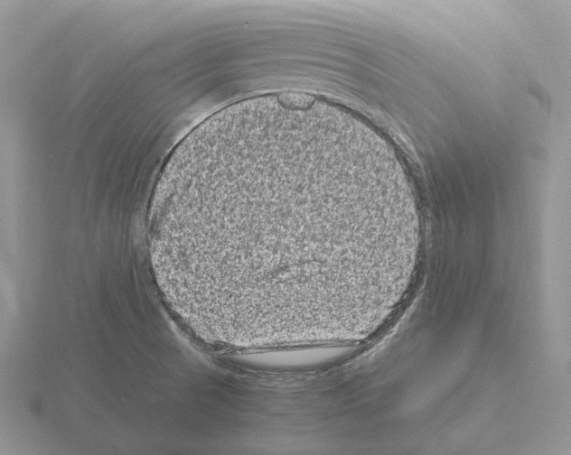 X0000115371521200912151408