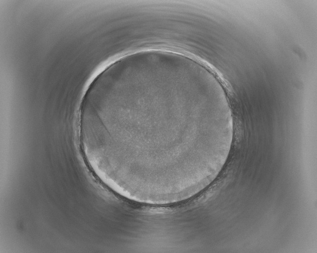 X0000115371522200912151408