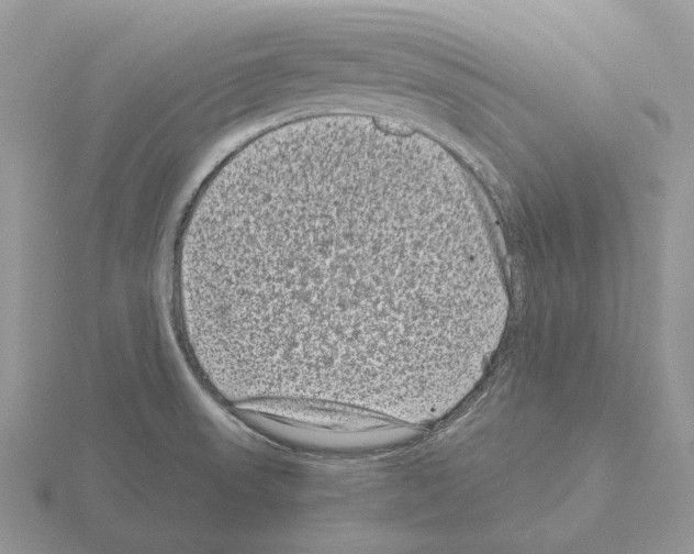 X0000115371523200912151408